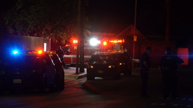 Police and emergency vehicles stand at a nighttime scene with lights flashing