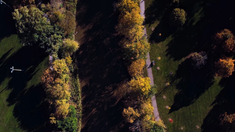 Aerial view of Vaughan green space and residential paths showing fixed land area amid rising population density